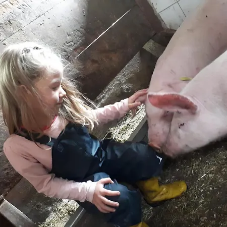 Appartamento Gaestehaus Bergwald - Poetscherjahringerhof Virgen