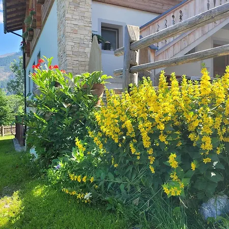 Apartamento Gaestehaus Bergwald - Poetscherjahringerhof
