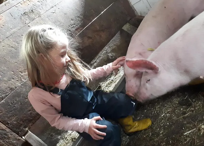 Διαμέρισμα Gaestehaus Bergwald - Poetscherjahringerhof Virgen