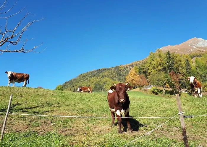 Gaestehaus Bergwald - Poetscherjahringerhof Διαμέρισμα *