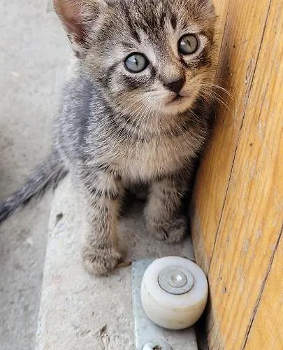 Διαμέρισμα Gaestehaus Bergwald - Poetscherjahringerhof *