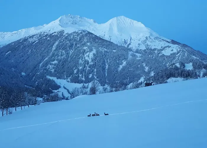 Gaestehaus Bergwald - Poetscherjahringerhof * Virgen