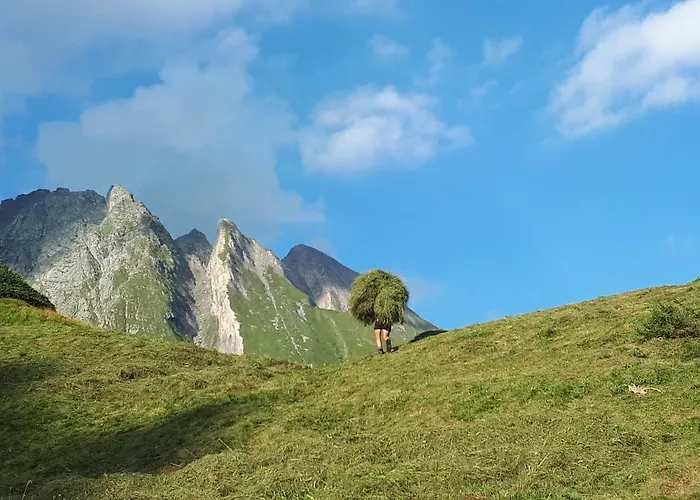 Gaestehaus Bergwald - Poetscherjahringerhof *