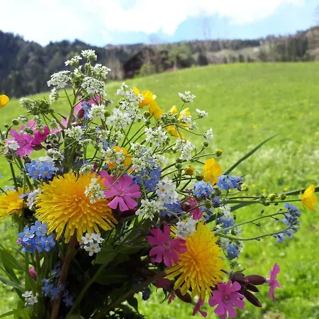 Gaestehaus Bergwald - Poetscherjahringerhof
