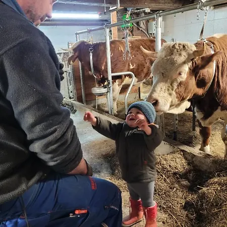 Gaestehaus Bergwald - Poetscherjahringerhof Daire Virgen