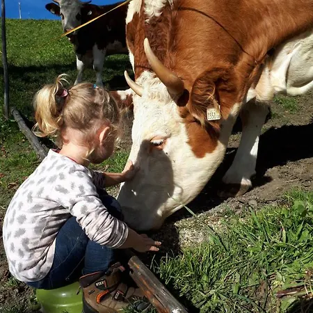 Gaestehaus Bergwald - Poetscherjahringerhof Virgen